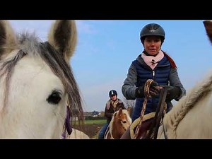 My Mustang & me - Reiten mit Handpferd