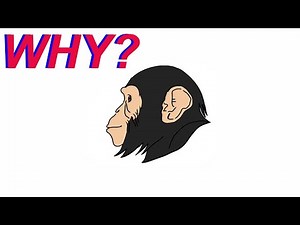 Return to Monke Analysis