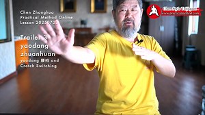 Chen Style TaiJi Quan Practical Method - Singapore on Reels