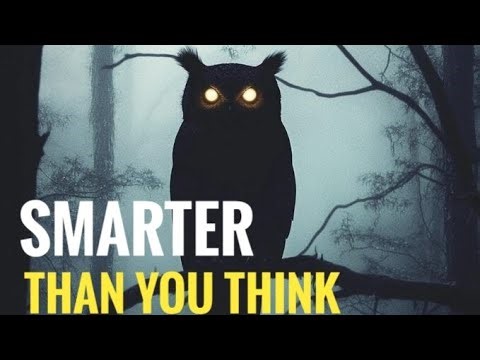 Animals That Are Smarter Than You Think