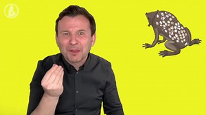 3K views · 683 reactions | AAF #149 Surinam Toad - Drawn by Civecomic Version 2.0 ❤️ | Markulland | Facebook