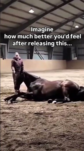 Horse fart goes viral… but here’s why it matters