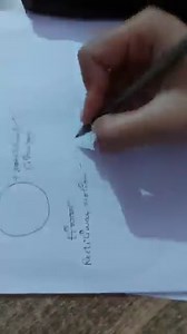 Define the following types of motion:(a) Rectilinear motion(b... | Filo