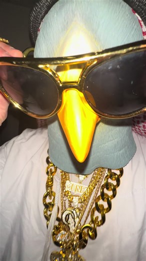 MR.PIGEON: The Ultimate Money Talk Edit