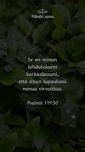 29.5.2026 - Psalmit 119:50 #Päivänsana #Raamattu