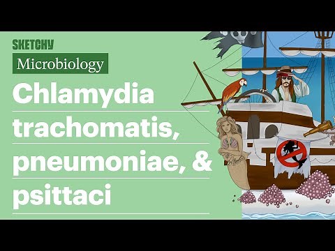 Chlamydia trachomatis, pneumoniae, & psittaci | USMLE Step 1 | Sketchy Medical