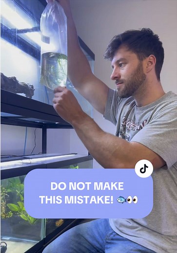 Crucial Tips for Adding New Fish to Your Aquarium
