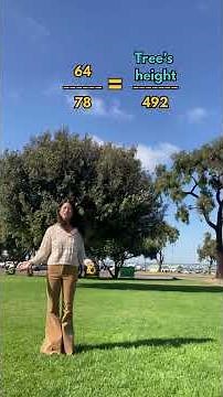 Measure a Tree Without Climbing It (STEM Learning)