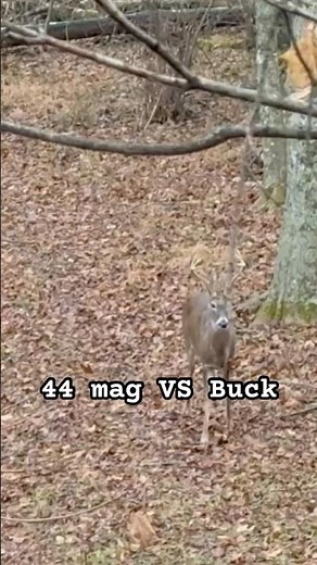 44 mag hunting! #hunting #deer #deerhunting #rut #harvest #whitetails #realtree