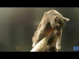 Star Trek: The Next Generation's New Intro