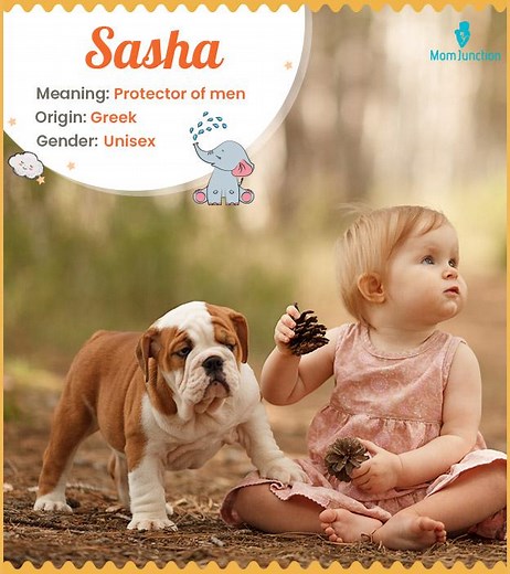 Sasha: A Complete Guide To Its Meaning, History, And Popularity