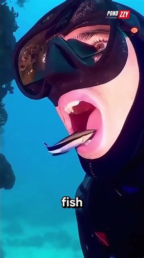 Why Are Sharks Afraid to Harm This Tiny Fish? 😱🐟