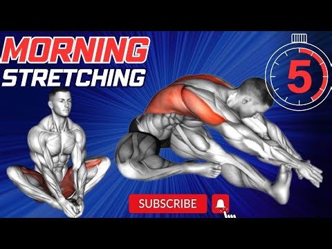 Unlock Your Flexibility with a 5-Minute Stretching Routine for Beginners