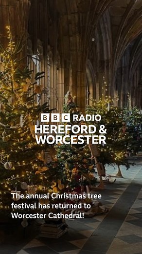 3.6K views · 42 reactions | Christmas tree festival returns to Worcester Cathedral | BBC Hereford & Worcester | Facebook