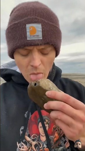 How to Easily Find Real Fossils at the Beach