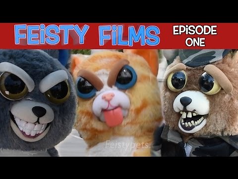 Feisty Films Episode 1: Invasion of the Feisty Pets