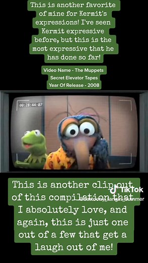 Gonzo's Hilarious Advice to Kermit in Classic Muppets Clip