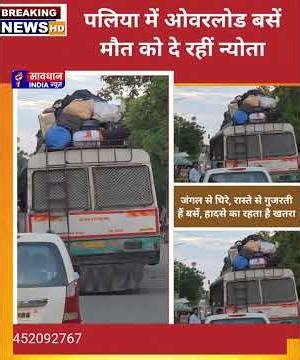 Overloaded buses in Palia are inviting death.