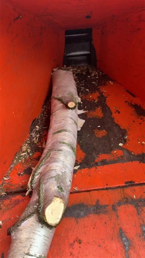 Timberwolf Wood Chipper: Essential Tool for Arborists