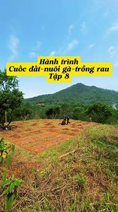 Xe rùa điện tốt nhất để xúc đất và chở vườn (kinh nghiệm thực tế)