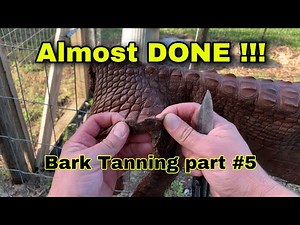 Bark Tanning part #5 How to Tan Alligator Hide into Leather ( It’s almost Done!!! )