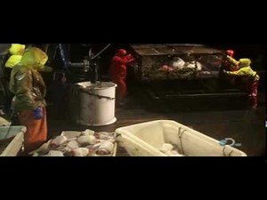 Deadliest catch s06e02 5 of 5.avi