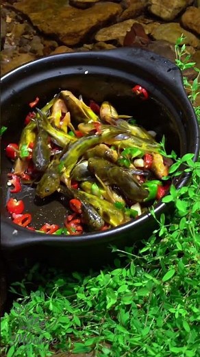 Catch Fish, Forage Wild Food & Cook A Amazing Forest Meal #cooking #camping #traditional