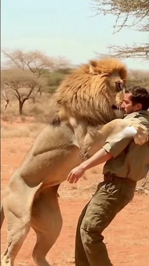 😱A lion Hug: Unbelievable Bond between lion and a Man