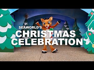 SeaWorld's Christmas Celebration 2021 | Visit Orlando