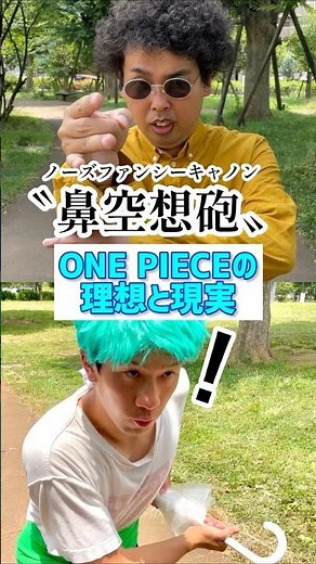 ONE PIECEの理想と現実【鼻空想砲】【ノーズファンシーキャノン】【アラバスタ編】