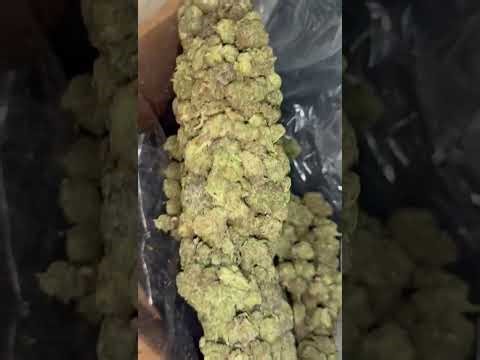 Wholesale THCA Flower “Price Reality Check” (2026): what tiers really cost and why