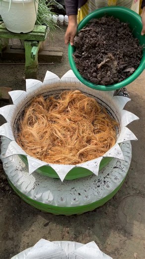 Tips Menghemat media tanam dengan menggunakan Sabut kelapa #gardening #garden