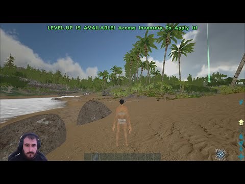 Ark INI PvP 2025 + Configuracion