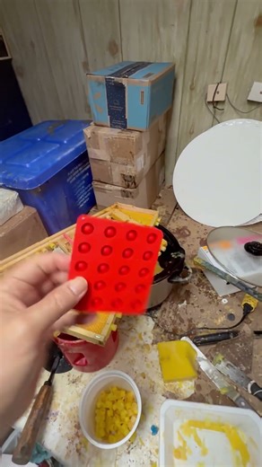 Experimenting with honey bee queen raising frames and waxcups Nicot plus system. A different method