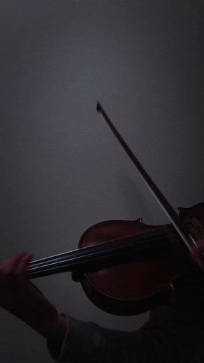 ヴィヴァルディ 四季より冬 #中2 #14歳 #violin #バイオリン #四季 #冬 #おすすめ #fyp #fypシ