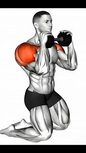 777K views · 10K reactions | Build Huge, Powerful Shoulders with These 8 Dumbbell Exercises That Target Every Muscle Fiber for Maximum Size, Strength, and Definition ТСИ Fast! Credit: Unknown - DM for credit or removal No copyright intended [ We used this video for Fitness purpose ] . . . . . . #shoulderworoout #shoulder #gym #fitness #bodybuilding #gymtips #gymmotivation #fitnessmotivation #fitnesstips #workout #training #gymaddict #gymshark #explore | Gymm Flexx | Facebook