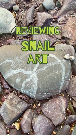 Exploring the Fascinating World of Snail Art