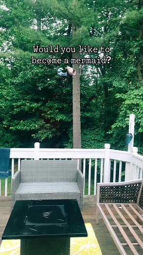 What do i do!? #fyp #xyzbca #viral #mermaid #h2o #finfun #tropical #finfunmermaid #rp #roleplay #pov