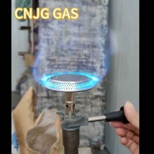 Blue Flame Gas Burner Stove#gas #lpg #stove #burner #cylinder #cooker #cooking #kitchen