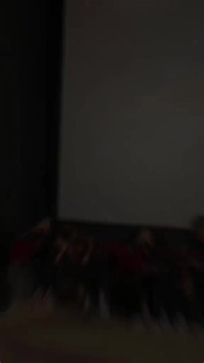 Exploring the Year of the Skyzy and Fan Flash Culture