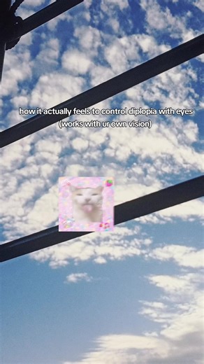 FR! #diplopia