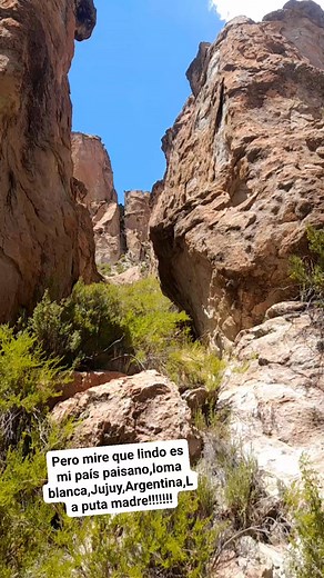 Gustavo Insaurralde on Reels