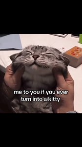 Cute Black Cats and Couple Goals