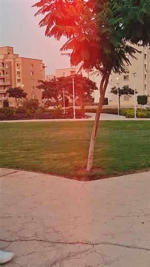 مهم لمصممين الجرافيك Generative expand in adobe illustrator | Elfiqy.designs