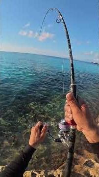 🔥 This One Had Power