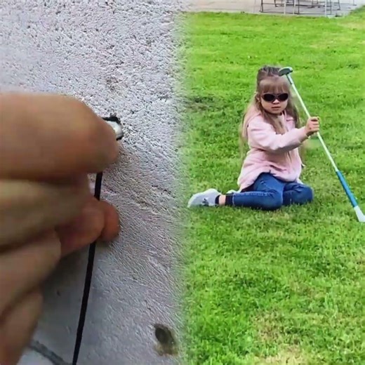 Pures Chaos#germany #german #shorts #viral #trending #youtube #funny #mustwatch