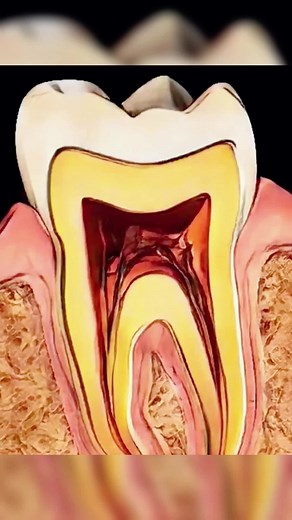 dentalfilesupplier on TikTok