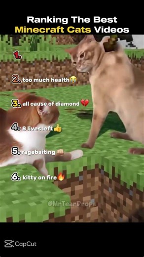 Ranking the best minecraft cats videos