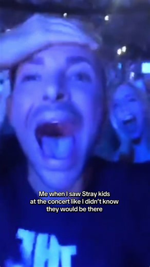 Excitement at the Stray Kids Concert