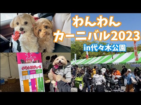 【わんわんカーニバル2023】都心最大級ドッグイベントに参加したら愛犬が賢いことが発覚しましたw